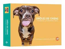 Agenda-Calendrier Drôles de chiens