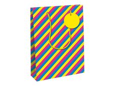 Clairefontaine - Sac cadeau - grand - 26.5 cm x 14 cm x 33 cm - multicolore
