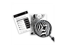 Cartouche laser compatible HP 308e - noir - EvoMore