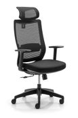 Fauteuil de bureau CASSIOPEA - accoudoirs - appuie-tête - noir