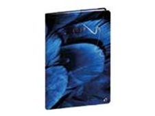 Quo Vadis Hipsy Minister - Agenda - 2026 - 160 x 240 mm - blanc - feather