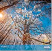Calendriers 30x30cm 16 mois Aquarupella - Arbres