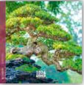 Calendrier 16x16cm 16 mois Aquarupella - Bonsai