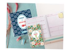 Exacompta Dodo & Cath Lady 16 S - Agenda semainier - 90 x 160 mm - couverture poisson rouge