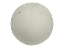 Leitz Ergo - Ballon d'assise ergonomique - Diamètre 75cm - Gris clair