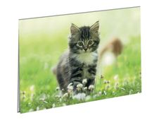 Oberthur Chaton Nature - Sous-main double - 55 x 37 cm