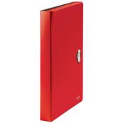Leitz Recycle - Trieur à soufflet - 5 positions - A4 - pour 250 feuilles - à onglets - rouge
