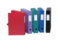 Viquel - Boîte de classement plastique - dos 60 mm - vert