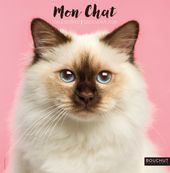 Calendrier illustré BOUCHUT 30 x 30 cm MON CHAT 70 %