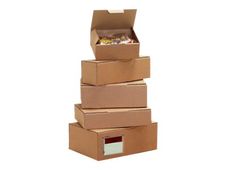 Boîte postale d'expédition - 25 cm x 15 cm x 10 cm - kraft - Logistipack