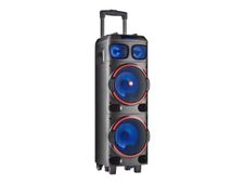 NGS WILD DUB 1 - enceinte de soirée - sans fil - avec batterie intégrée - noir