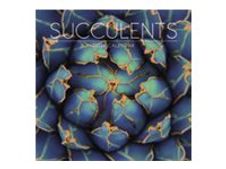 Legami - Calendrier mensuel 2024 - 30 x 29 cm - succulents