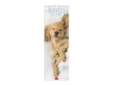 Legami - Calendrier mensuel 2024 - 16 x 49 cm - chiots