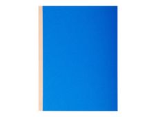 Exacompta Forever - 10 Chemises à soufflet - 320 gr - couleurs assorties