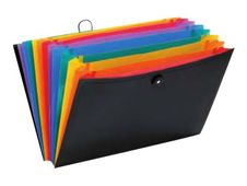 Viquel Rainbow Class - Trieur extensible 12 positions