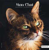 Calendrier illustré BOUCHUT 30 x 30 cm MON CHAT 70 %