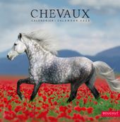 Calendrier illustré BOUCHUT 30 x 30 cm CHEVAL 70 %