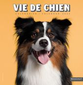Calendrier illustré BOUCHUT 30 x 30 cm VIE DE CHIEN 70 %
