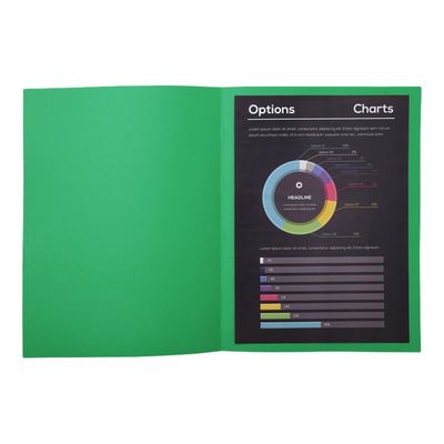 3288582171043-Exacompta Rock"s - 10 Chemises - 210 gr - pour 200 feuilles - vert foncé-Avant-2
