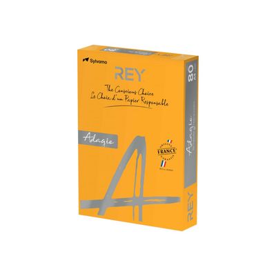 3141728710943-Rey Adagio - Papier couleur - A4 (210 x 297 mm) - 160 g/m² - Ramette de 250 feuilles - poti-Angle droit-0