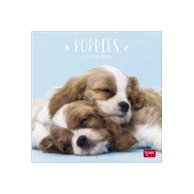 8051128759815-Legami - Calendrier mensuel 2024 - 18 x 18 cm - chiots -Avant-0
