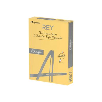 3141728711315-Rey Adagio - Papier couleur - A3 (297 x 420 mm) - 160 g/m² - Ramette de 250 feuilles - bout-Angle droit-0