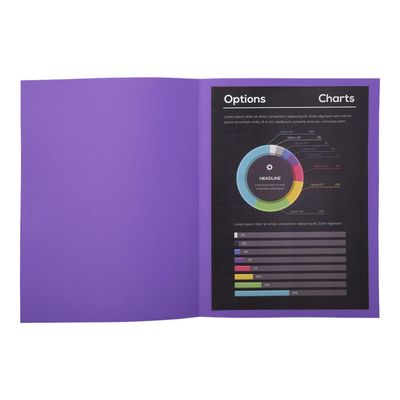 3288582171081-Exacompta Rock"s - 10 Chemises - 210 gr - pour 200 feuilles - violet foncé-Avant-3