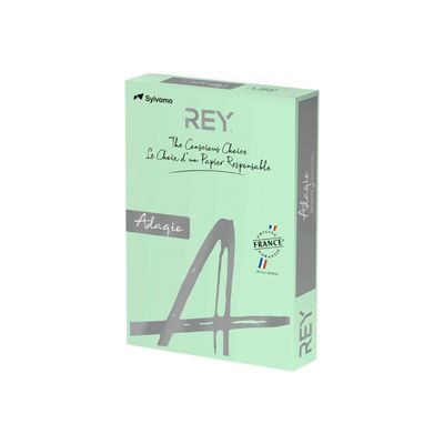 3141728711346-Rey Adagio - Papier couleur - A3 (297 x 420 mm) - 160 g/m² - Ramette de 250 feuilles - vert-Angle droit-0