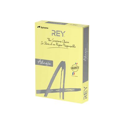 3141720157982-Rey Adagio - Papier couleur - A3 (297 x 420 mm) - 160 g/m² - Ramette de 250 feuilles - cana-Angle droit-0
