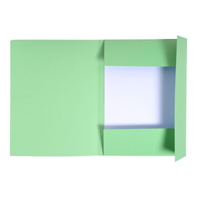 3130634448132-Exacompta Forever - 100 Chemises imprimées - 280 gr - vert pré-Avant-1