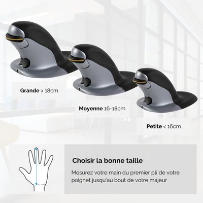 0043859735914-Fellowes - Souris sans fil ambidextre - Grand--4