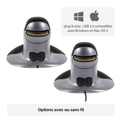 0043859735914-Fellowes - Souris sans fil ambidextre - Grand--2