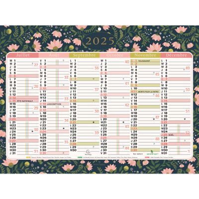 3660942061070-Calendrier Mini Labo - 6 mois par face - 22 x 29,5 cm - Exacompta--1