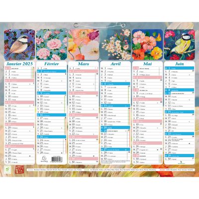 3660942074568-Calendrier Sophie Adde - 6 mois par face - 21 x 29 cm - Exacompta--0