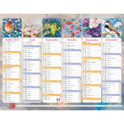 3660942074568-Calendrier Sophie Adde - 6 mois par face - 21 x 29 cm - Exacompta--1