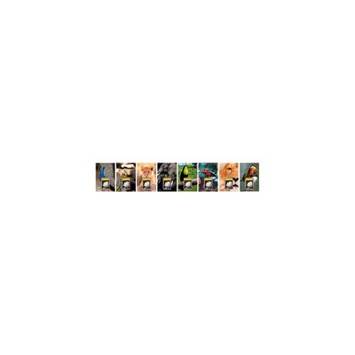 3147280114656-Lecas Wild - Plaque avec bloc éphéméride humoristique - 17 x 25 cm - disponible dans différents mod--0
