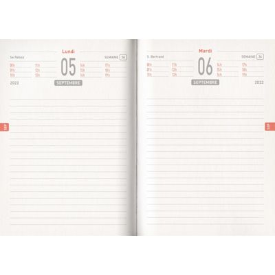 3592930019391-Agenda Fun Panda - 1 jour par page - 12,5 x 17,5 cm - Bouchut--1