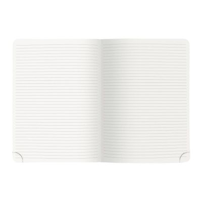 3660942176460-Notebook Mini Labo - 15 x 21 cm - Exacompta--3