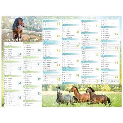 3664447138558-Calendrier Cheval - 7 mois par face - 21 x 26,5 cm - Oberthur--0