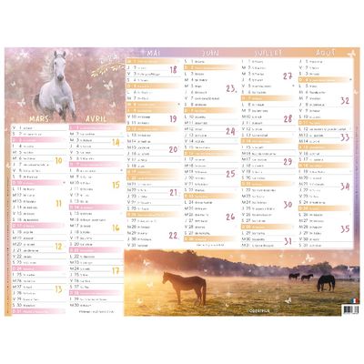 3664447138558-Calendrier Cheval - 7 mois par face - 21 x 26,5 cm - Oberthur--1