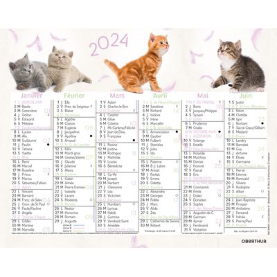 3664447151366-Mini calendrier illustré - 6 mois par face - 13,5 x 17,5 cm - différents modèles disponibles - Obert--0