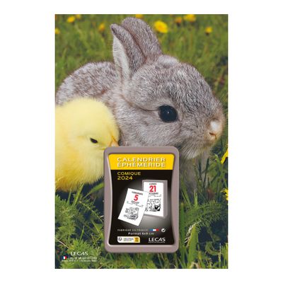 3147280261152-Lecas Nature - Plaque avec bloc éphéméride humoristique - 17 x 25 cm - lapin--0