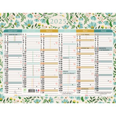 3660942086653-Calendrier illustré Mini Labo - 6 mois par face - 17 x 13 cm - Exacompta--0