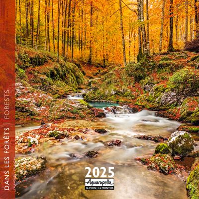 3494150160320-Calendrier mensuel 30x30 cm - 16 mois - Dans les forêts--0