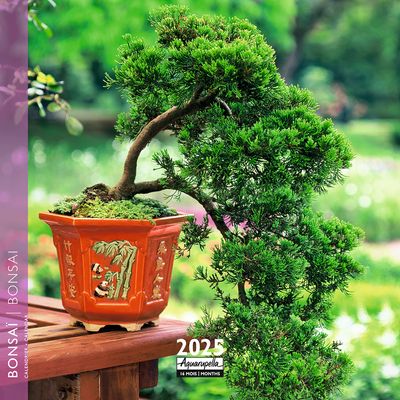 3494150160801-Calendrier mensuel 16x16 cm - 16 mois - Bonsaï--0