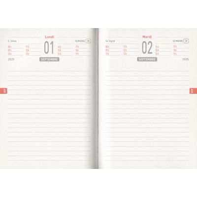 3592930025965-Agenda RDC reliure intégra année scolaire BOUCHUT "Gamme in the air" 12,5 x 17,5 cm coloris gris PEFC--2