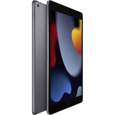 194252515679-Apple iPad - 9éme génération - tablette 2021 - 64 Go - 10,2" - Wifi - Gris Sidéral-P_405118394_3-2