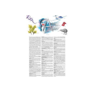 9782036022256-Petit Larousse illustré 2026-P_405188735_5-4