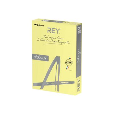 3368220089609-Rey Adagio - Papier couleur - A4 (210 x 297 mm) - 160 g/m² - Ramette de 250 feuilles - cana-Angle droit-0