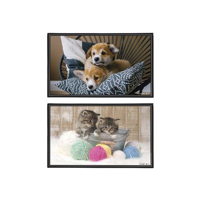 3135251306094-Viquel Fantaisie Animaux - Sous-main - 59,5 x 36,2 cm - PVC - Chatons / Chiots-Avant-0
